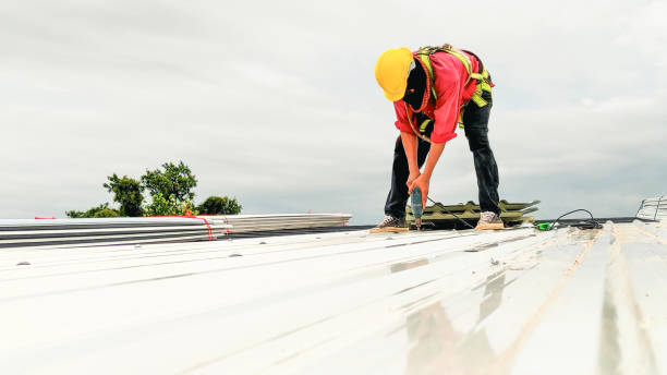  Wlow Springs, IL Roofing Service Pros