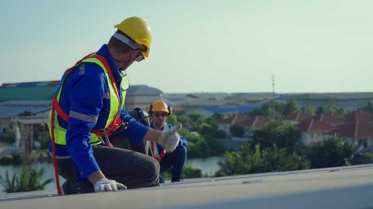 Best Roof Coating and Sealing  in Wlow Springs, IL