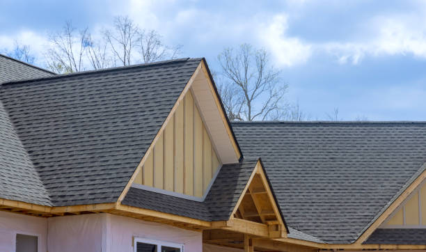 Best Skylight Installation and Repair  in Wlow Springs, IL