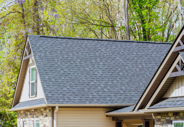 Best Roof Moss and Algae Removal  in Wlow Springs, IL